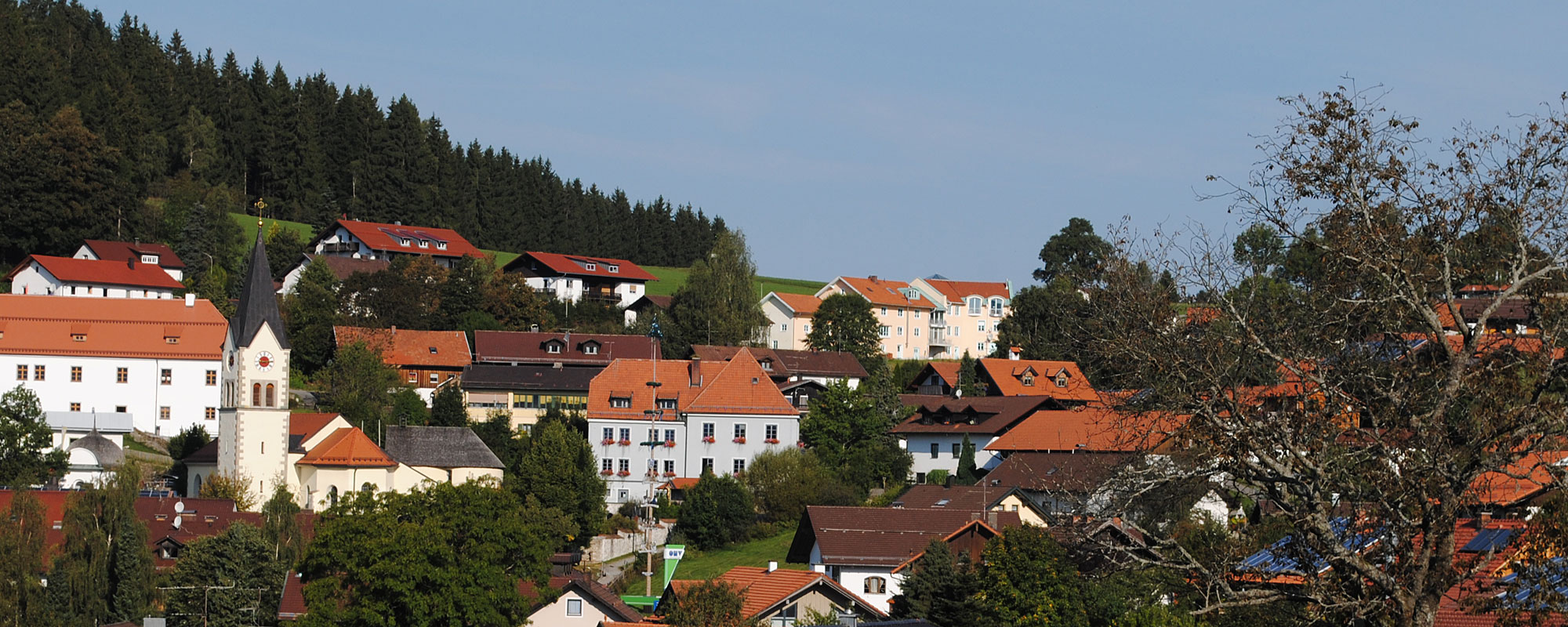 Bayerischer Wald